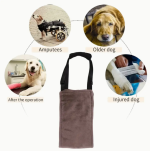 soporte-auxiliar-de-ayuda-para-perros-costa-rica