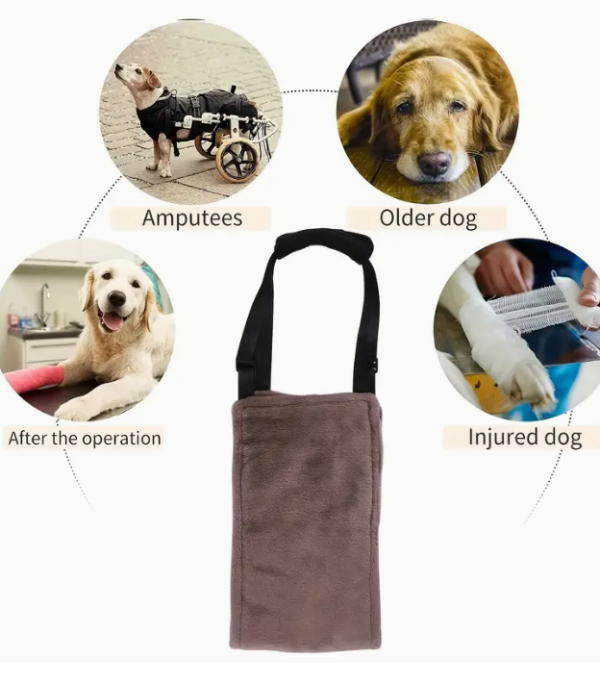 soporte-auxiliar-de-ayuda-para-perros-costa-rica