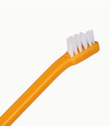 Cepillo-dientes-perro-gato-naranja-costa-rica
