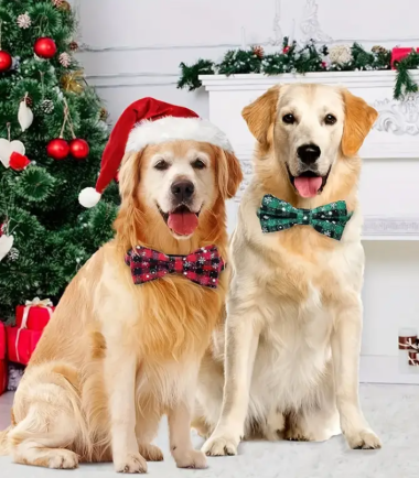 Collar-navideño-tallaL-Costa-rica.