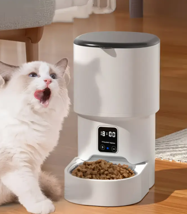 Dispensador-gato-costa-rica