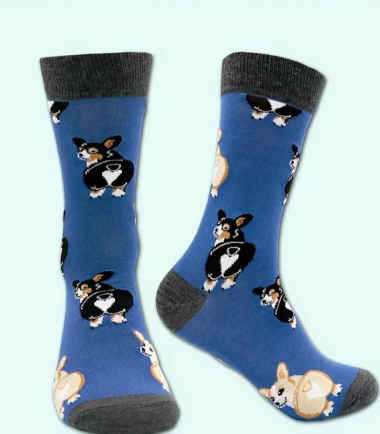 Medias-azul-perro-costa-rica