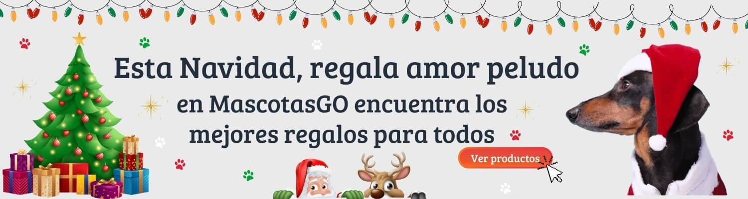 Navidad Banner principal Compu-2