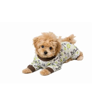 pijama-larga-perro-costa-rica pijama-larga-perro-costa-rica