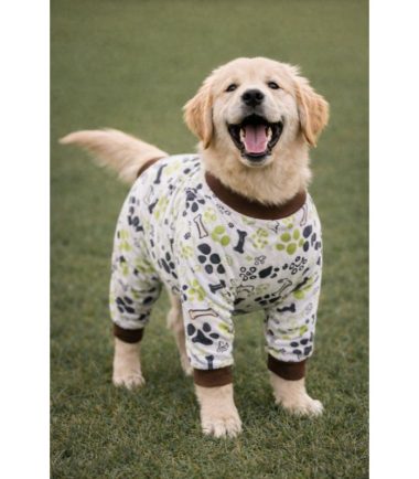 pijama-larga-perro-costa-rica