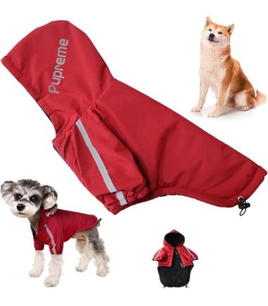 sueta-impermeable-perros-costa-rica