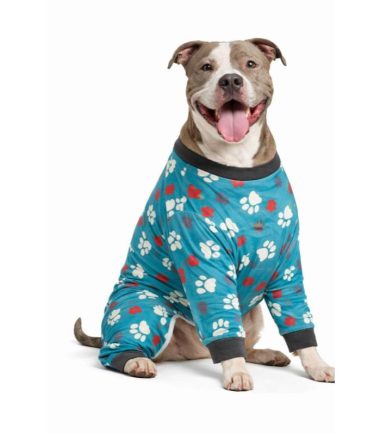 pijama-larga-perro-costa-rica