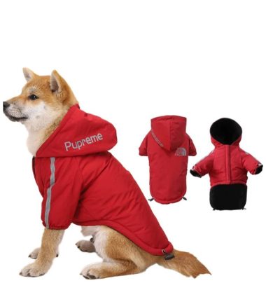 sueta-impermeable-perros-costa-rica