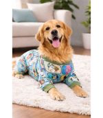 pijama-larga-perro-costa-rica