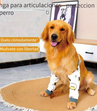 Protector-uso-perro-costa-rica