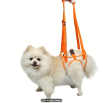 Soporte de ayuda para perros-Talla S