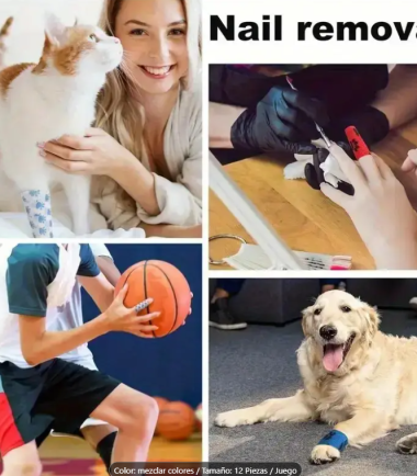 Vendas-usos-costa-rica