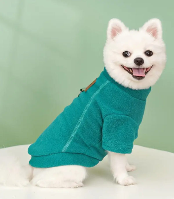 camiseta-perro-turquesa-costa-rica.