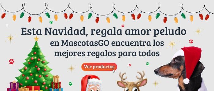 (1)Banner para celular 700 x 400