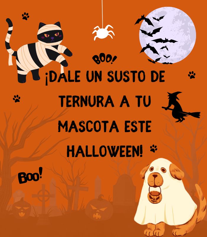 (2)Banner celular principal 700800 (1)