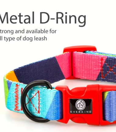 Collar-everking-metal-costa-rica