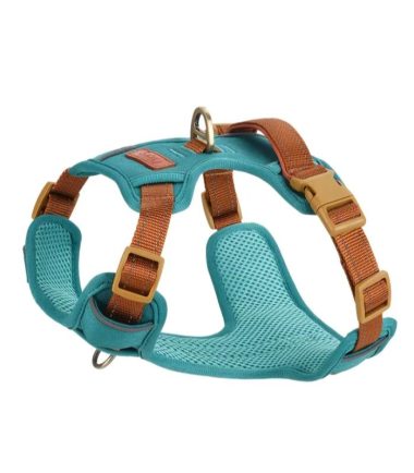 Arnés para perro Talla M color turquesa