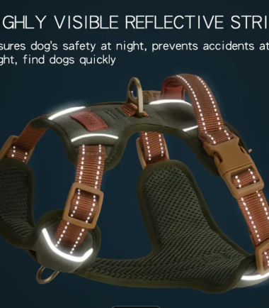 Pechera-perro-reflectivo-costa-rica