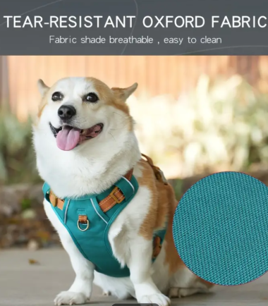 Pechera-perro-verde-costa-rica