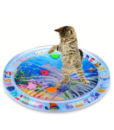 Juego interactivo de agua para gato