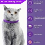 Collar calmante para gato duración 60 días 1 unidad