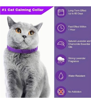 Collar calmante para gato duración 60 días 1 unidad