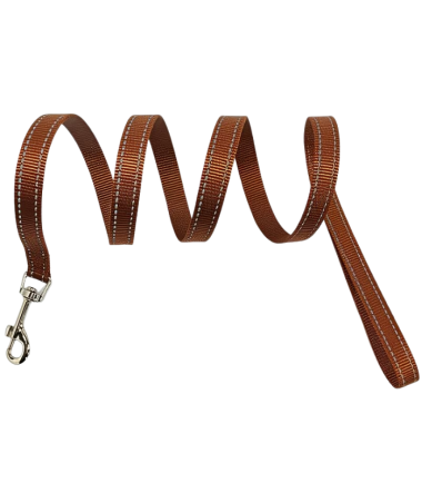 correa-para-mascotas-costa-rica