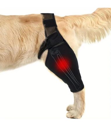 soporte-de-rodilla-perros-L-costa-rica