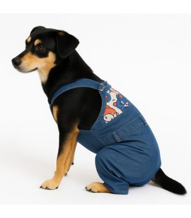 overol-para-perros-costa-rica