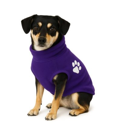sueta-peluche-morada-m-costa-rica