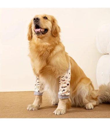 protectores-codos-perros-medianos-grandes-costa-rica