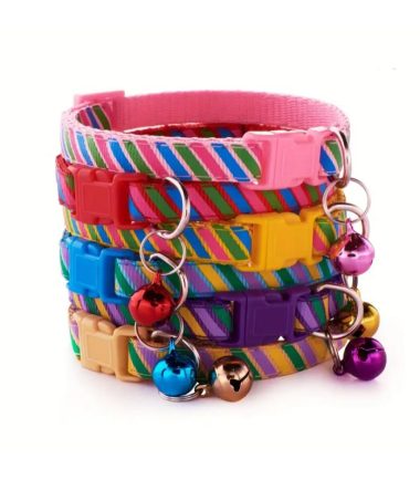 collar-para-mascotas-pequeñas-costa-rica