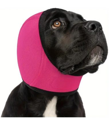 orejeras-antiruidos-talla-s-perros-costa-rica