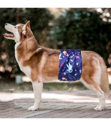 pañales-reutilizables-macho-m-costa-rica