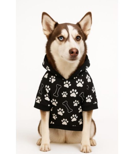 sueta-perros-talla-Xl-costa-rica