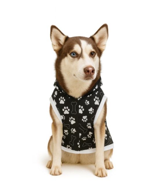 sueta-perros-talla-Xl-costa-rica