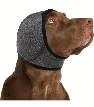 orejeras-antiruidos-talla-s-perros-costa-rica