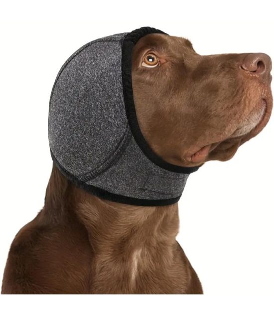 orejeras-antiruidos-talla-s-perros-costa-rica