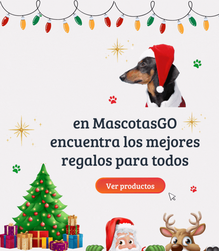 BANNER celular principal 700800