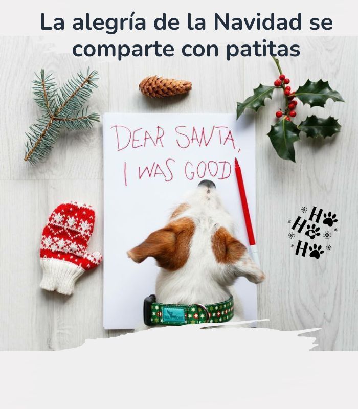 BANNER celular principal 700800