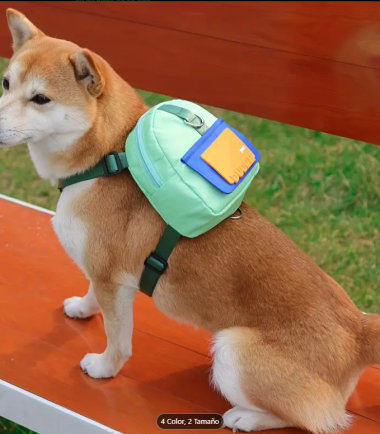 Mochila-correa-arnes-perro-costa-rica