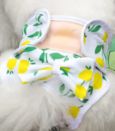 Pañal-reutilizable-costa-rica