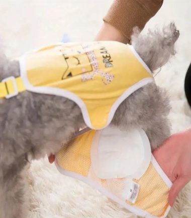 Toalla para pañal desechable para hembra y macho