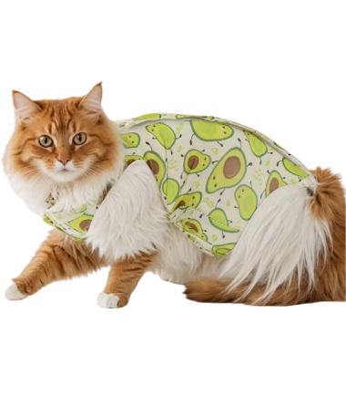 Pijama Post Operatoria para gato talla S diseño aguacate