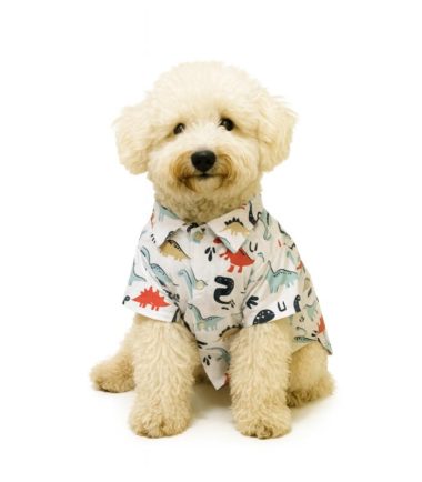 camisa-para-perros-costa-rica