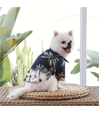 camisa-para-perros-costa-rica camisa-para-perros-costa-rica