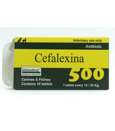 cefalexina-antibiotico-perros-gatos-costa-rica