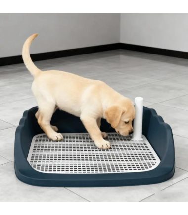 bandeja-sanitaria-perros-costa-rica