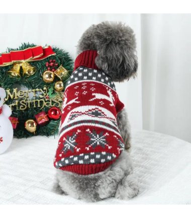 suetér-navideño-mascotas-costa-rica