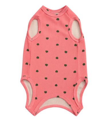 pijama-post-operatoria-gatos-costa-rica